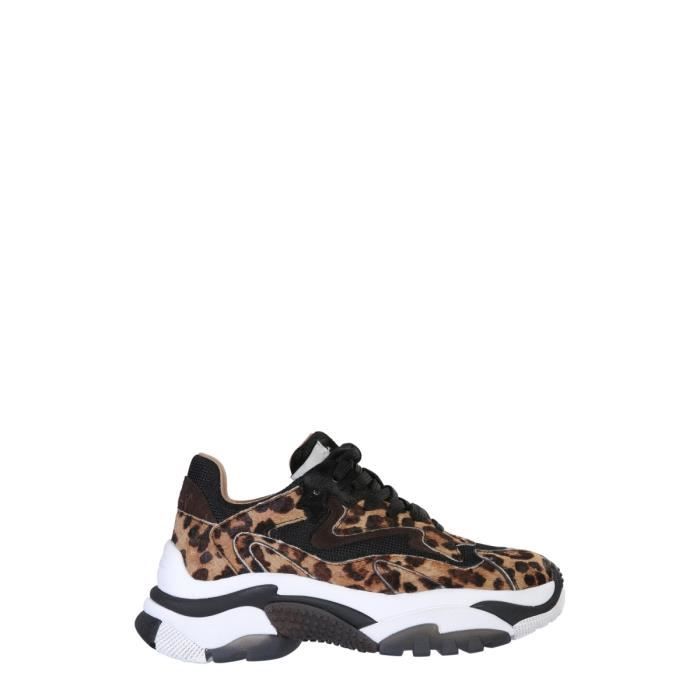 basket ash addict leopard