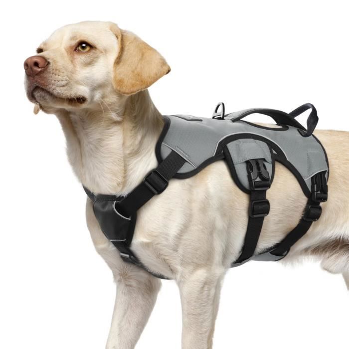 Meilleurs prix pour Rabbitgoo Harnais pour Chien avec Poignée de Levage Harnais Réglables pour Animaux de Compagnie Facile à Contrôler L Gris