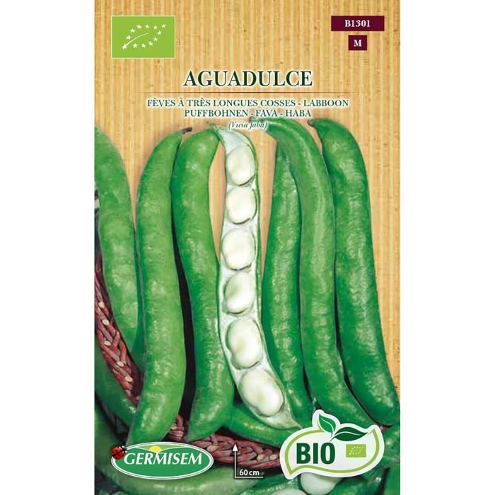 Graines De Fève AGUADULCE Bio Germisem | Fèves à Très Longues Gousses | Semis Précoce - 2