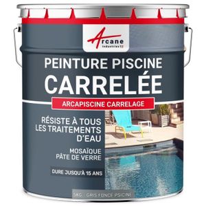 CARRELAGE - PAREMENT Peinture Piscine Carrelage ARCANE INDUSTRIES Gris foncé Piscine (Ral 7001) - 5 kg (jusqu'à 15m² pour 2 couches)
