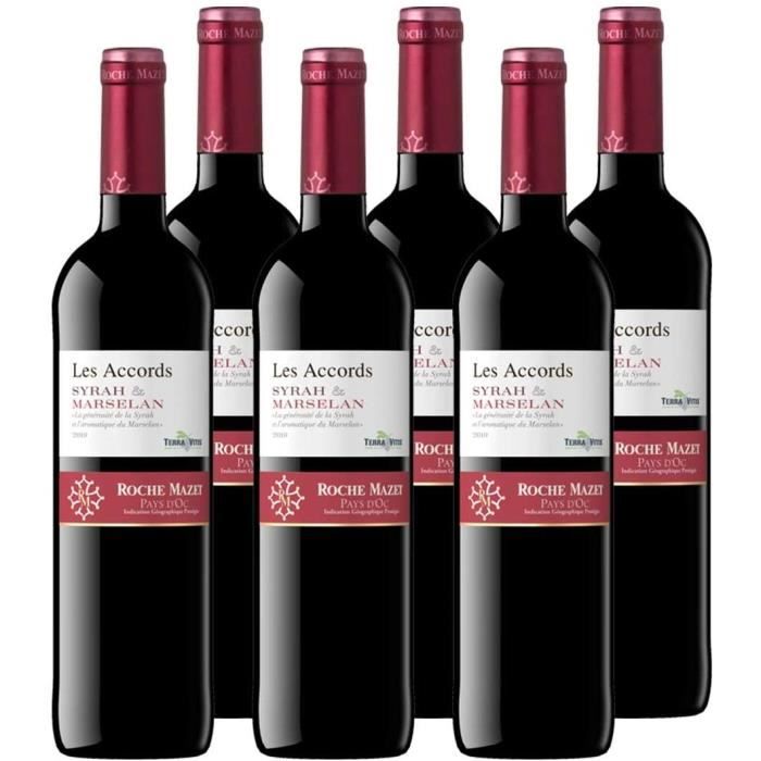 Les Accords de Roche Mazet - Syrah Marselan - IGP Pays d’Oc - Vin Rouge - Millésime 2019 - Terra Vitis - Lot de 6 bouteilles x 75 cl