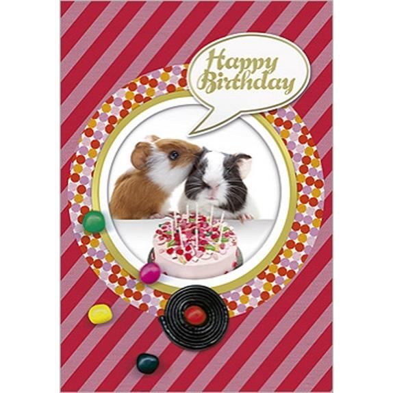 Carte De Voeux Joyeux Anniversaire Hamster Bisou Achat Vente Carte Correspondance Carte De Voeux Joyeux Anniv Cdiscount