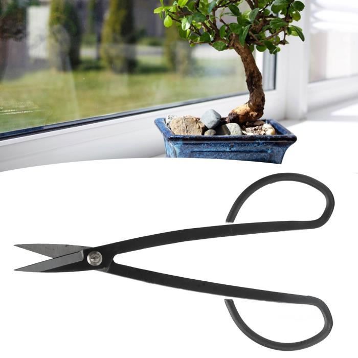 QWORK Ciseaux à Bonsaï Acier Inoxydable 21 Cm - Outil Précis Pour Bourgeons Feuilles Et Branches Tendres