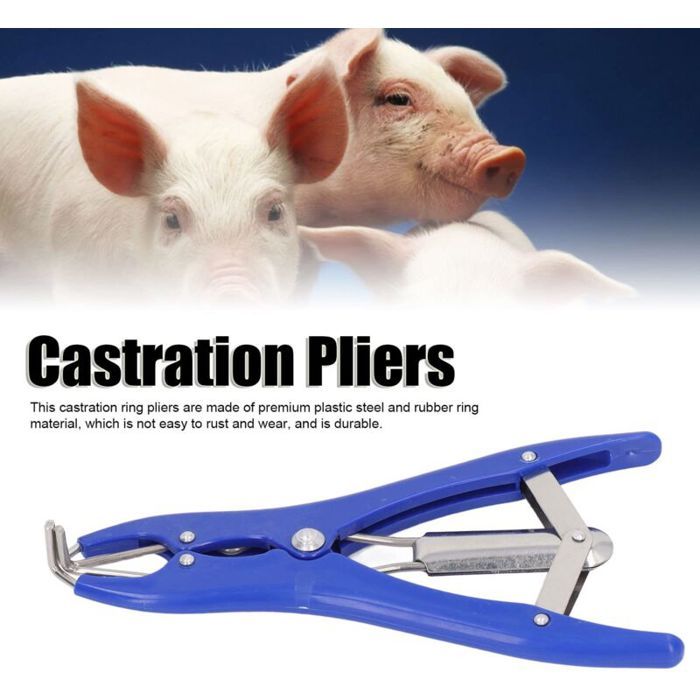 SALALIS Pince de castration Outils de castration Acier inoxydable