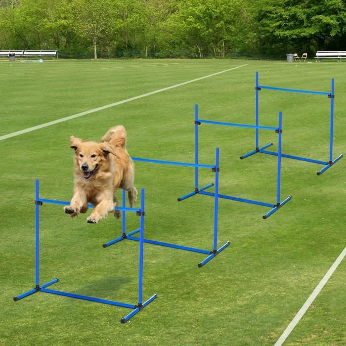 Aufun Ensemble d'équipement d'agilité pour chiens, tunnel d'obstacles  d'entraînement, hauteur réglable - Cdiscount Animalerie