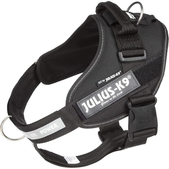 Ceinture canicross julius k9 online