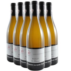 VIN BLANC Rully La Chaume Blanc 2021 - Lot de 6x75cl - Domai
