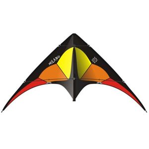 CERF-VOLANT Cerf-volant 2 lignes Elliot - modèle Milano - Rainbow black