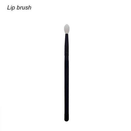 Lot De 10 Applicateurs Cosmétiques - Pinceaux Pour Paupières Et Lèvres, Acrylique Noir | Neufs