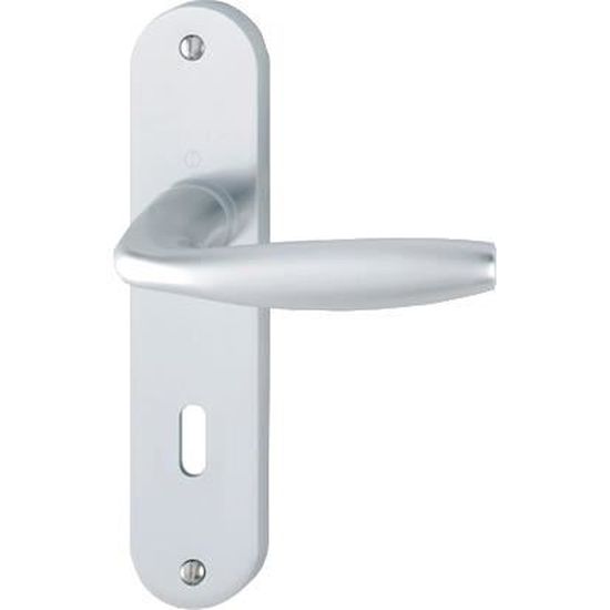 Ensemble De Porte Plaque Large Atlanta Hoppe 1530/300m Aspect Inox F9 195mm Cle I Entr 7 70 C7 Ep 78 87mm 3609170