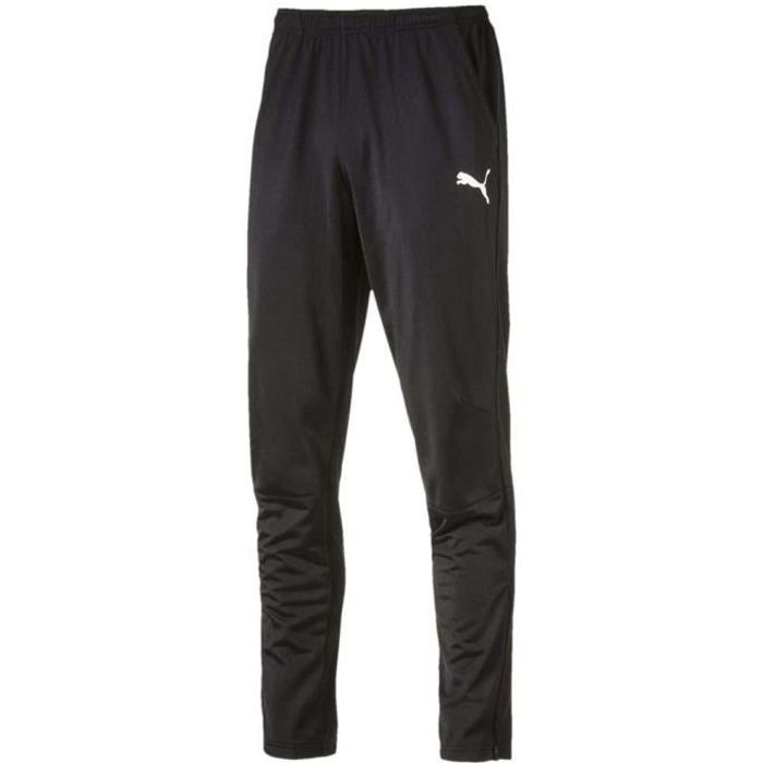 Vêtements Homme Pantalons Puma Liga Training Pants