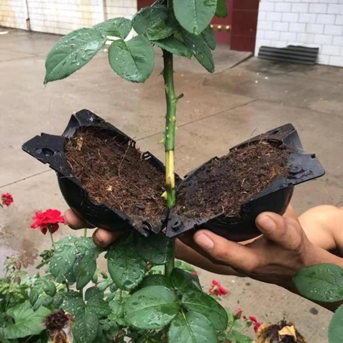 @EXE Plante Enracinement Dispositif Haute Pression Propagation Boule Boîte Greffage,pour Plante Enracinement Croissance Elevage (S)