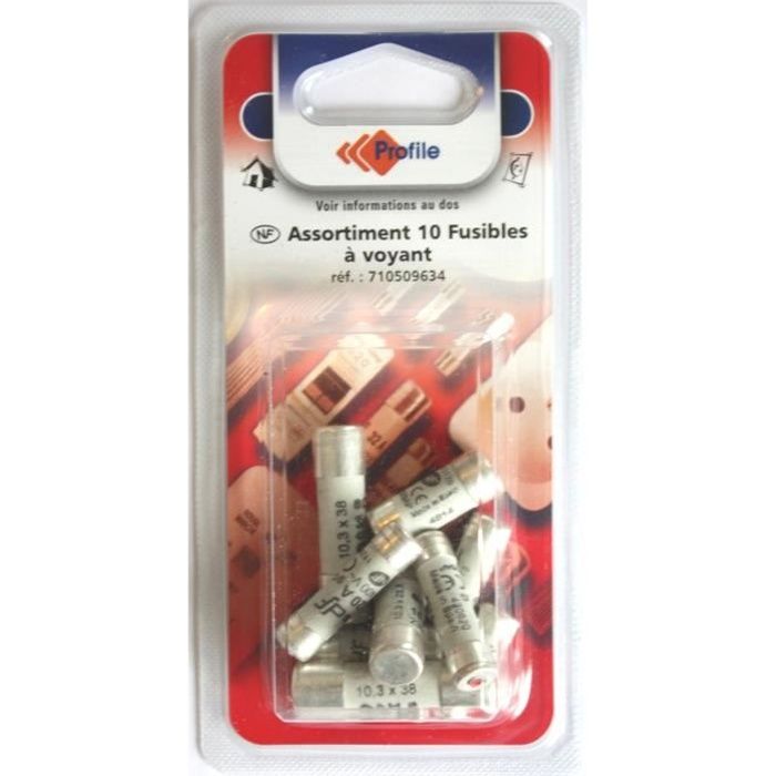 Lot de 10 fusibles à voyant 3 x 10A + 3 x 16A + 2 x 20A + 2 x 32A