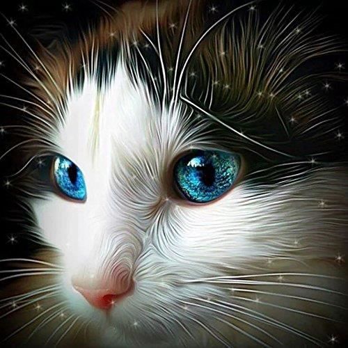Diamond Painting Complet Drill Diamant 5D DIY Diamant Peinture Portrait De Tête De Chat Diamant Broderie Point De Croix CH428171