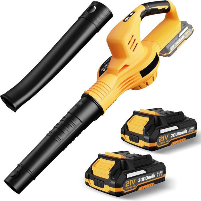 Souffleur De Feuilles Sans Fil 21V - 2 Batteries 3.0Ah - 800W, 210 Km/h - 2 Vitesses - Pour Jardin, Terrasse, Neige - 6