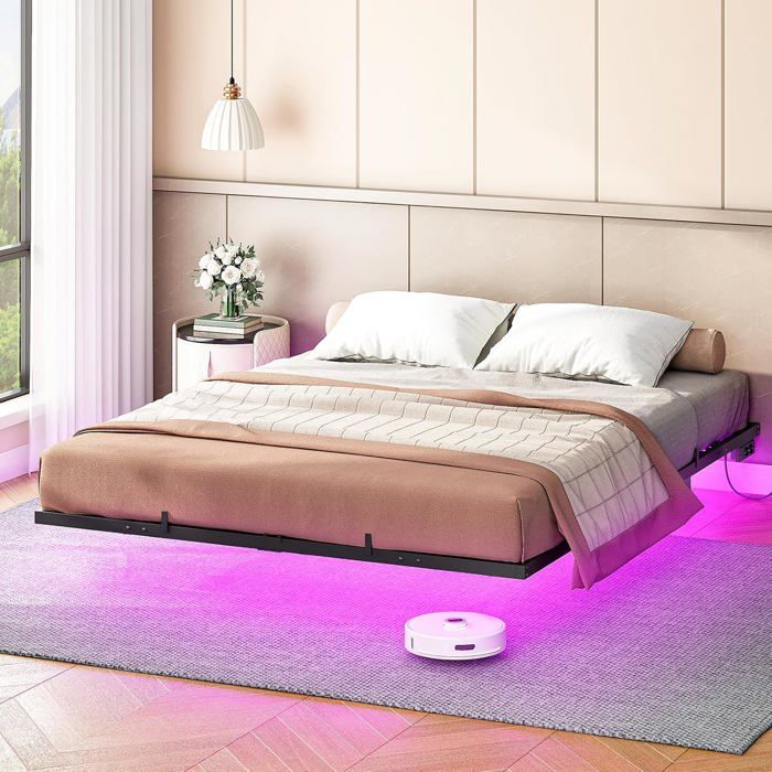 HOOBRO Cadre de Lit 160 x 200 cm Double avec Sommier avec Station de Charge et éclairage LED Structure en Métal Gris Foncé