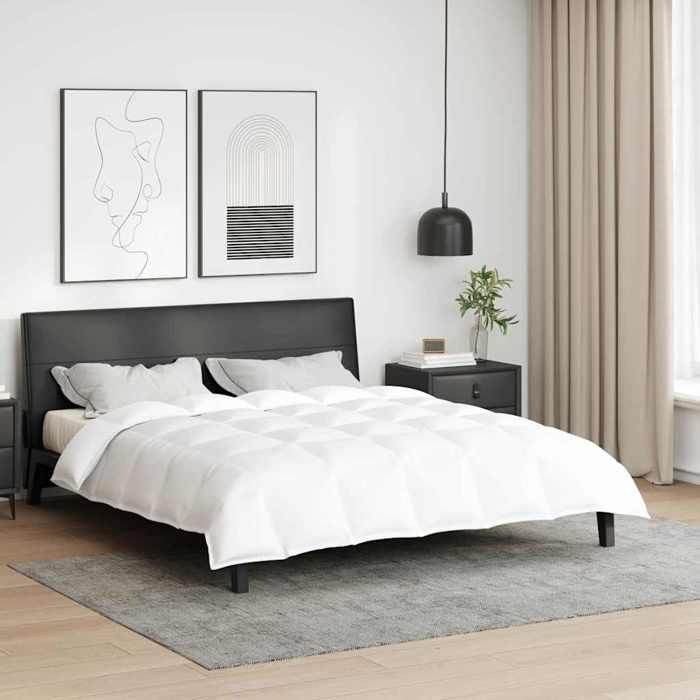 vidaXL Duvet 2-en-1 Blanc 240 x 220 cm Plume 42007672