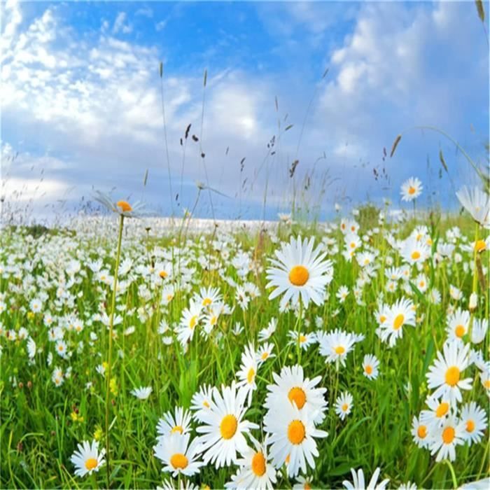 Diamond Painting Chat, 5D DIY Diamond Painting Kit Chat Avec Cadre En Bois, 18 X 18 Cm Diamond Painting Enfant Kit Arts CréAtifs Painting Diamant Pour Décoration Murale D'IntéRieur Enfants Adultes