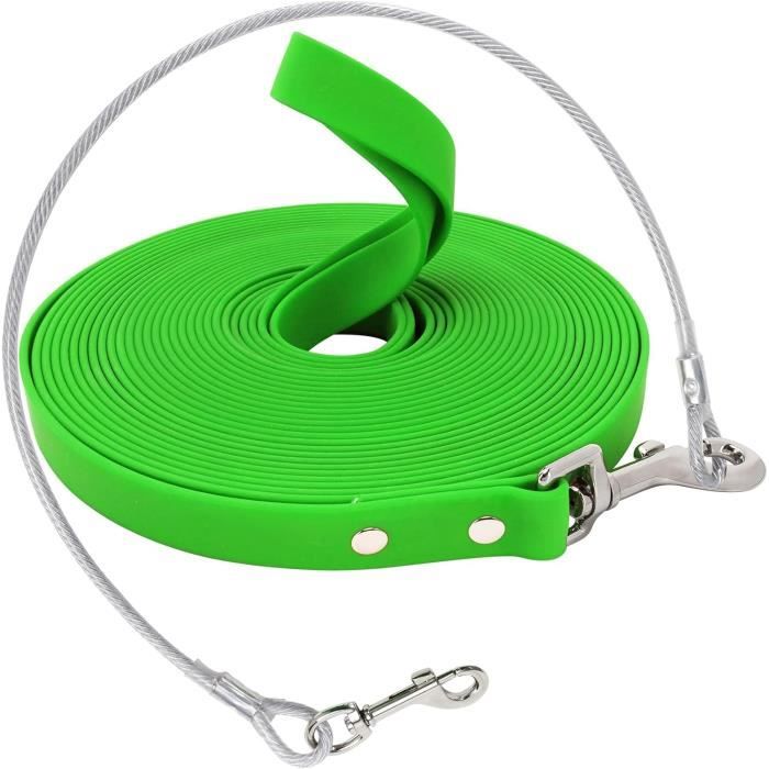 Laisse De Promenade Pour Chien Avec Lampe De Poche | Laisse éclairée De Nuit Et Respectueuse De