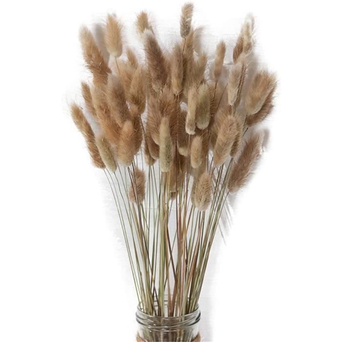 Fleurs séchées 30 pièces Fleurs séchées Naturelles Couleur Brute Queue de Lapin Herbe Bouquet