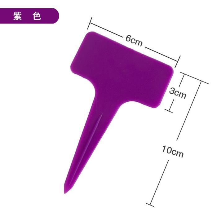 Top 6 Des Plantes D'intérieur Résistantes à La Faible Lumière D'hiver