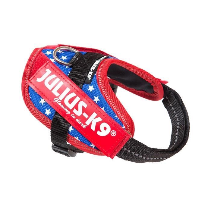 Julius-K9 IDC-Power Harnais pour Chien Gris Anthracite Taille 1