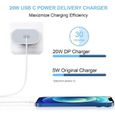 Chargeur Rapide 20W + Cable USB-C Lightning pour iPhone-1