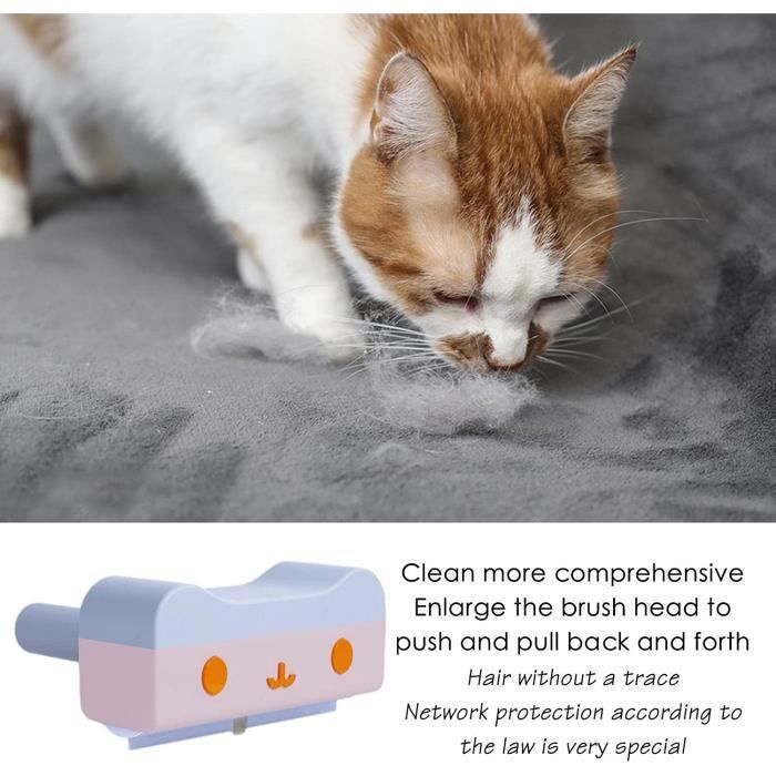 Épilateur pour animaux de compagnie dispositif de nettoyage pour chat tapis  canapé voiture détail grattoir chien