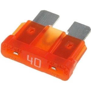 Fusible 40/30/30A Compatible Renault & Nissan - Ref 24370C9902