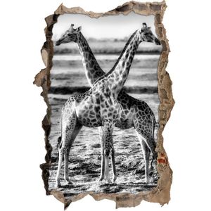 trotteur girafe