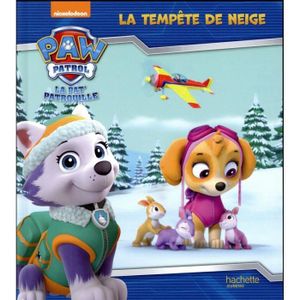 DVD FILM Livre - la Pat'Patrouille ; la tempête de neige