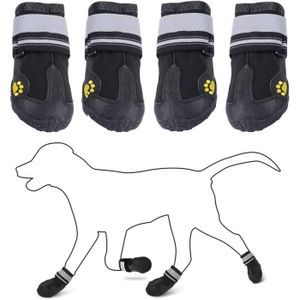 Chaussure pour chien, botte, bottine, chaussette - protection