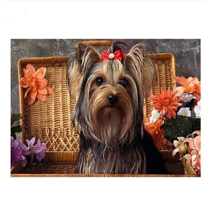 35Z Diamant complet de broderie diamant Yorkshire Terrier de broderie bricolage diamant peinture Cross Stitch, 5D couture Artisanat