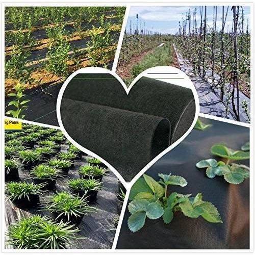 Bâche Géotextile Anti-mauvaises Herbes 4x10m - Perméable Et Résistante UV - GroundMaster