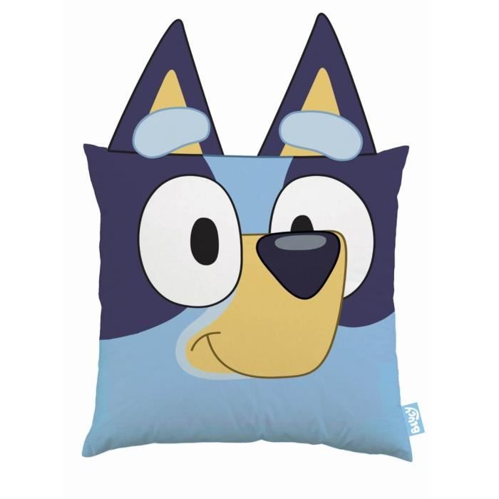 Housse De Coussin Pat' Patrouille 40x40 Cm - Idéale Pour Décorer La Chambre Des Fans De La Série