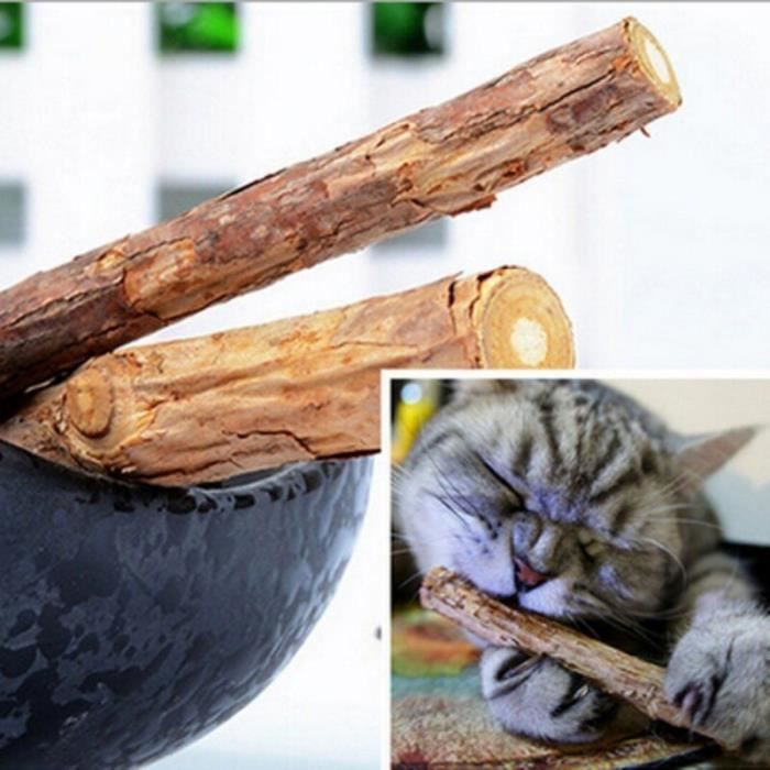 Mor Baton De Dentifrice Pour Chat De Compagnie Lot De 5 Pieces De Dents De Nettoyage Epingle A Chat Molar Baton De Dentifrice Cdiscount Au Quotidien
