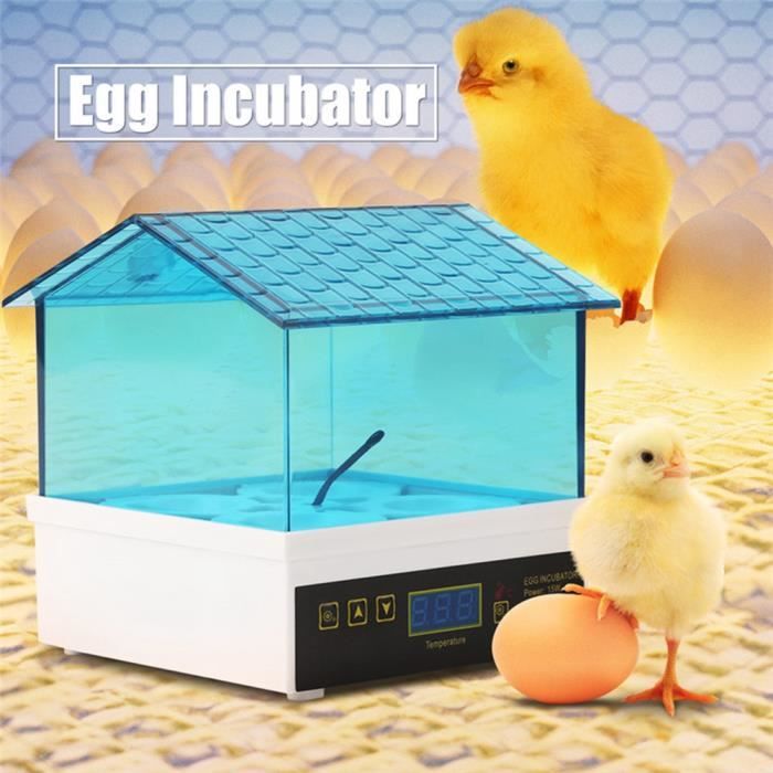 Incubateur Œufs Mini Automatique 9 Œufs - Avec Lumière LED Et Testeur - Pour Poule Canard Caille