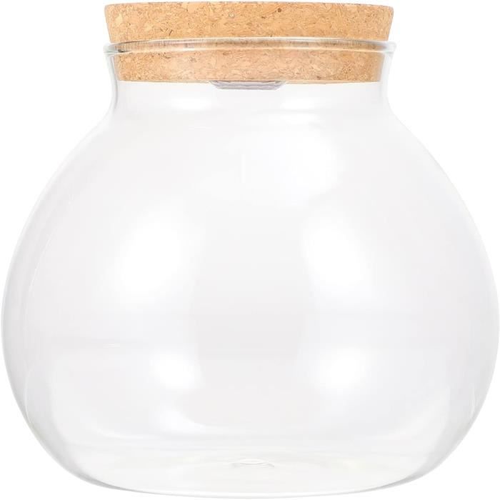 VASE EN VERRE Micro Paysage Bouteille Vases Pour La Décoration EUR 14