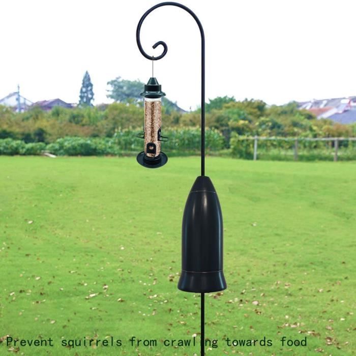 Épines Grimpantes Pour Animaux - Piques Pour Oiseaux