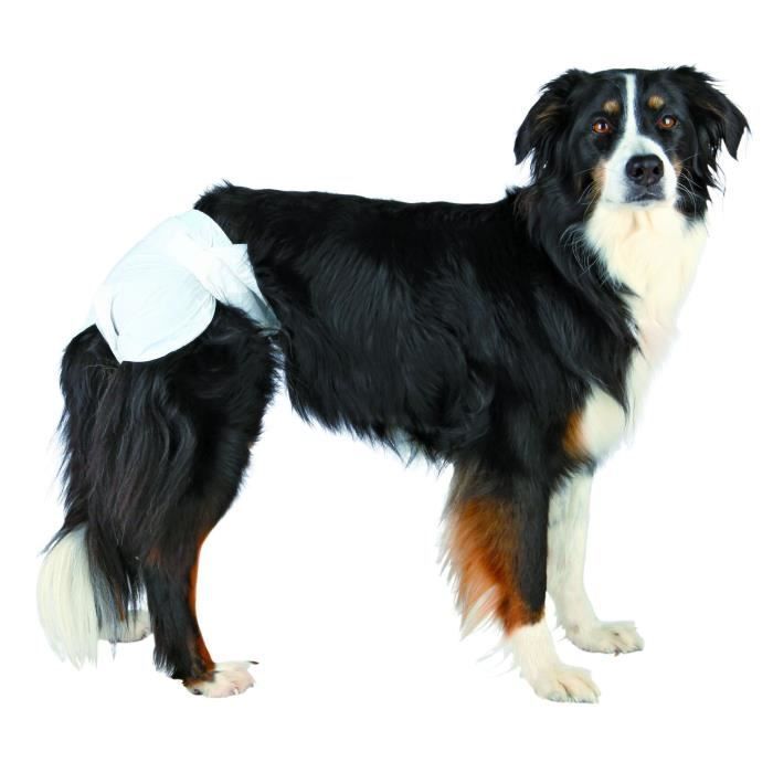 Couches pour chiens - TRIXIE - M/L - 12 pièces - Très absorbantes - Jetables Couches pour chiens - TRIXIE - M/L - 12 pièces - Très absorbantes - Jetables