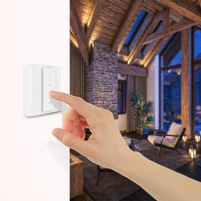 Couvercle D'Interrupteur pour Philips Hue Dim Switch, Adaptateur Blanc  Hautement Compatible pour Convertisseur de Convertisseur - Cdiscount  Bricolage