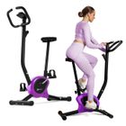 HS HOP-SPORT Hop-Sport Vélo d'Appartement Mécanique HS-010H Rio, Compact, Résistance Réglable, Ordinateur d'Entraînement, Jusqu'à 120 kg, Violet