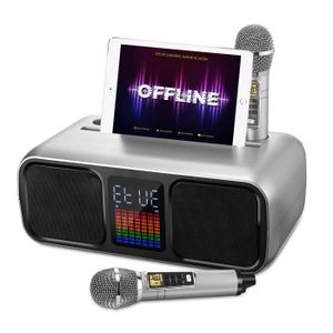 HAUT-PARLEUR - MICRO Microphone karaoké,kit Karaoke,Machine de karaoké 