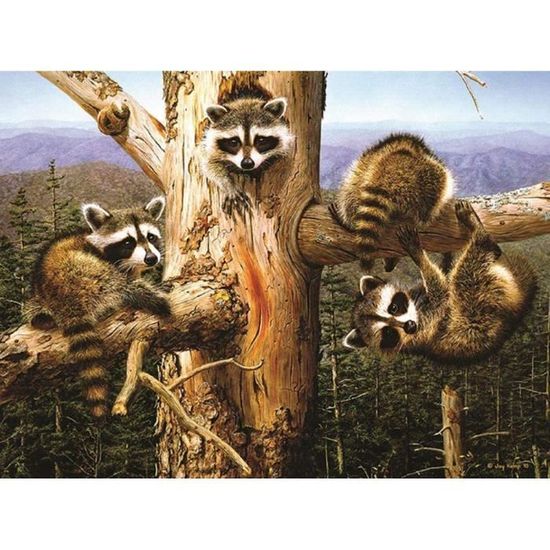 Kit De Peinture Diamant Par Numéro, Square Drill Chat Noir 20x30cm 5D