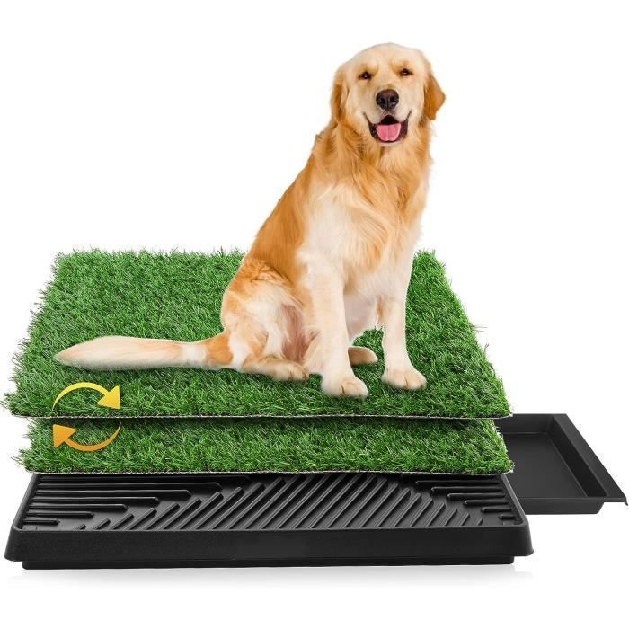 Toilette Chien avec Deux Tapis en Gazon Artificiel et Un Bac à litière Maison de toilette pour L'intérieur et L'extérieur
