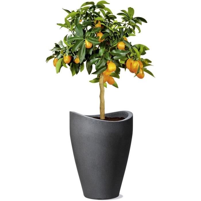 Pot De Fleurs Botle Rond - Plastique Anthracite 30x27,1 Cm (11,5L) - Résistant Gel UV