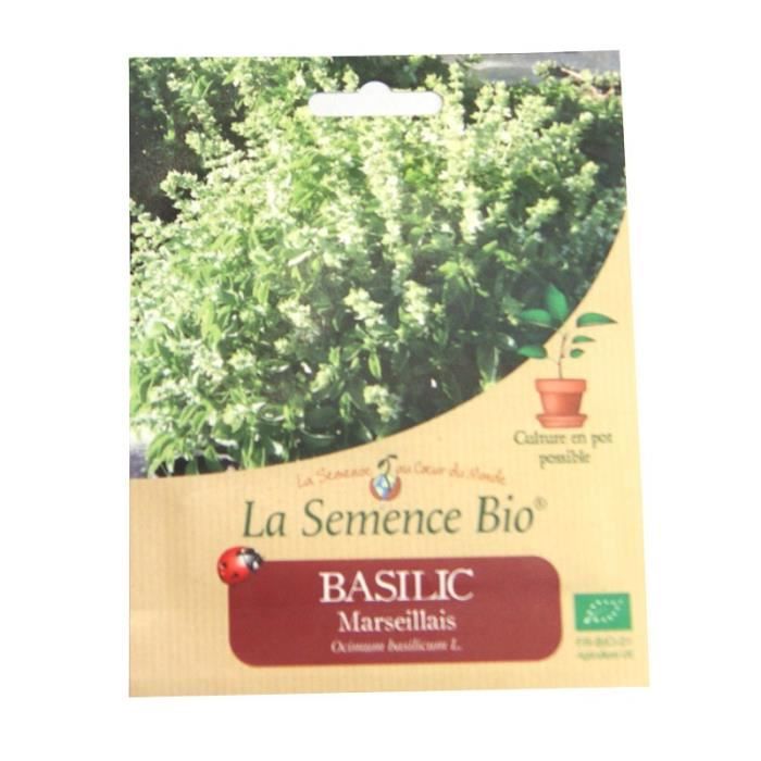 Graines Basilic Marseillais Vilmorin - Très Parfumé, Sachet