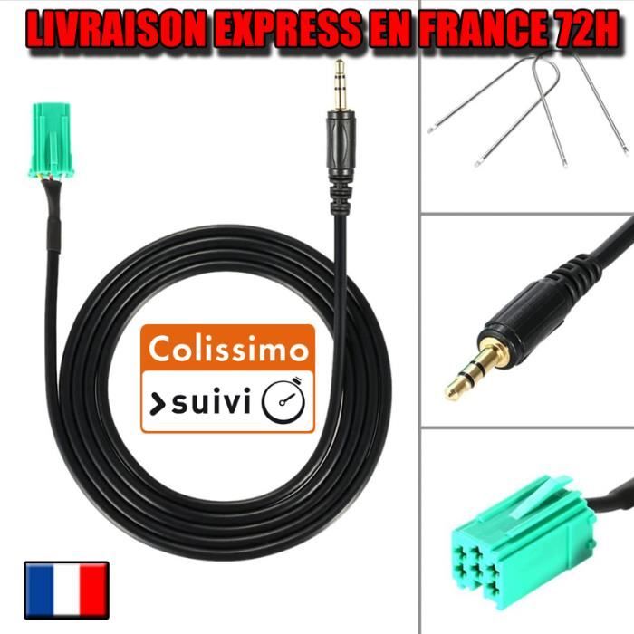Terminaux, câblage CABLE MP3 AUXILIAIRE RENAULT AUTORADIO UPDATE LIST