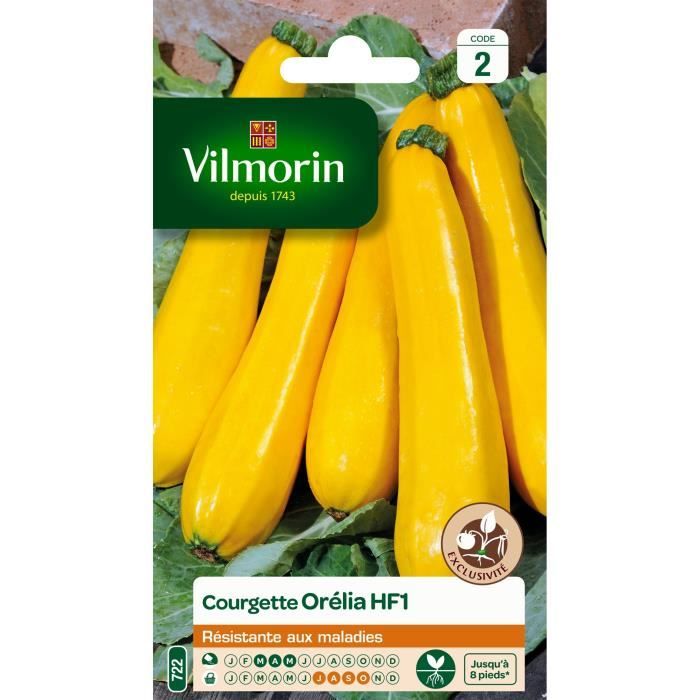 VILMORIN Courgette Orelia HF1 peau jaune