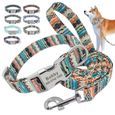 008RED-L -Collier de chien personnalisé et ensemble de laisse colliers pour animaux de compagnie en Nylon réfléchissants laisse de p-1